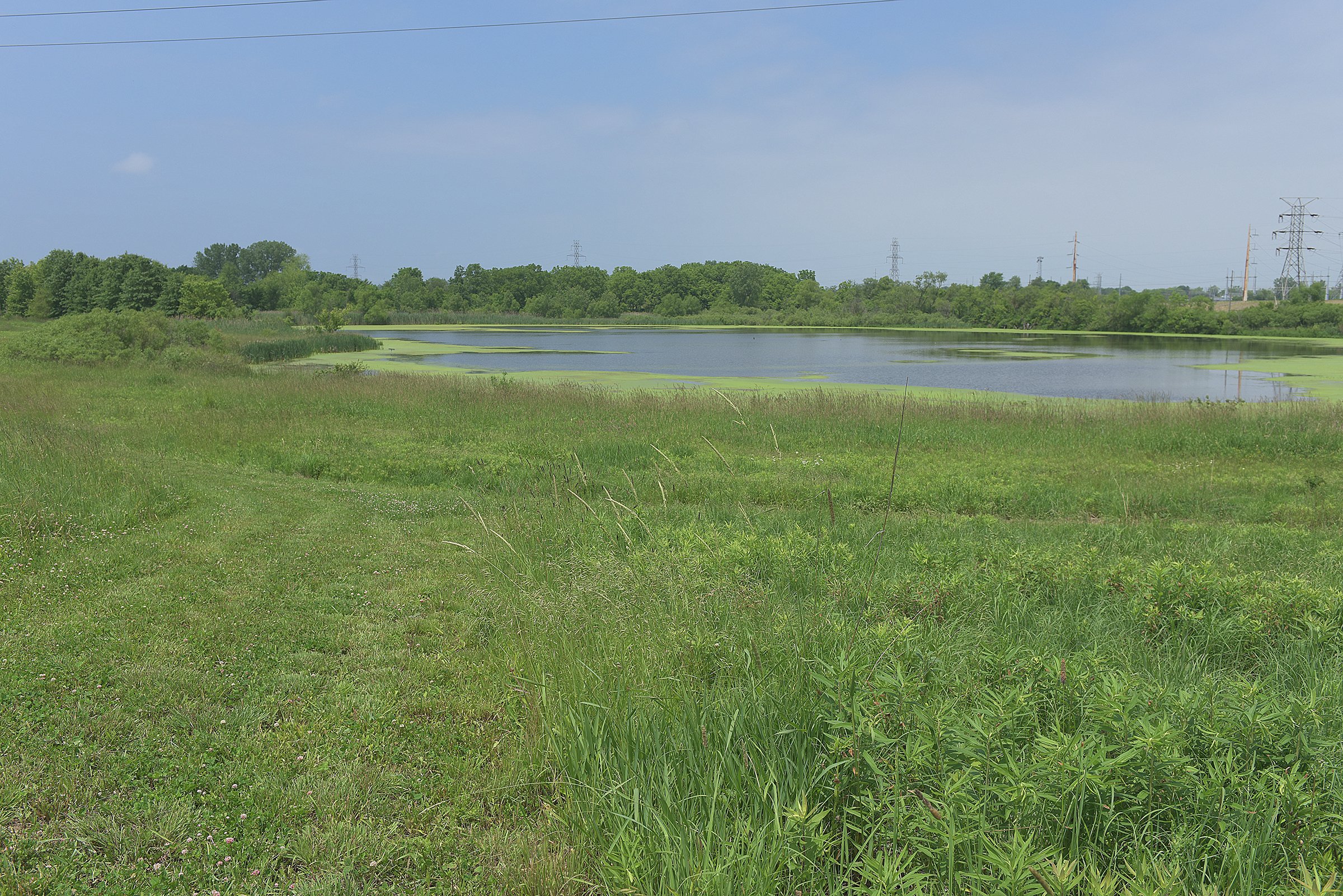Pond on a farm in Lake County, Indiana - LAND AUCTION - 147+/- ACRES OFFERED IN 3 TRACTS IN LAKE COUNTY, INDIANA